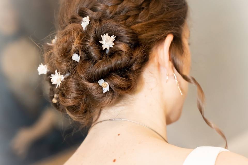 Pics à chignon eternels