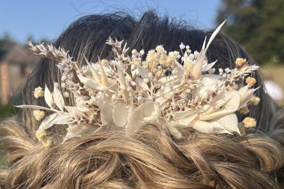 Accessoire cheveux
