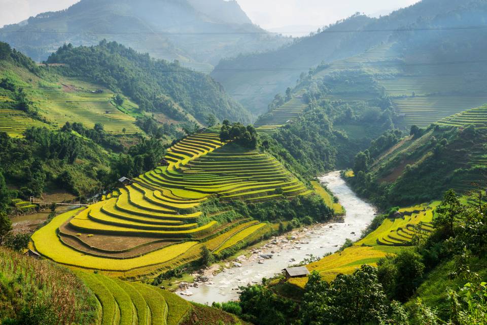 Vietnam