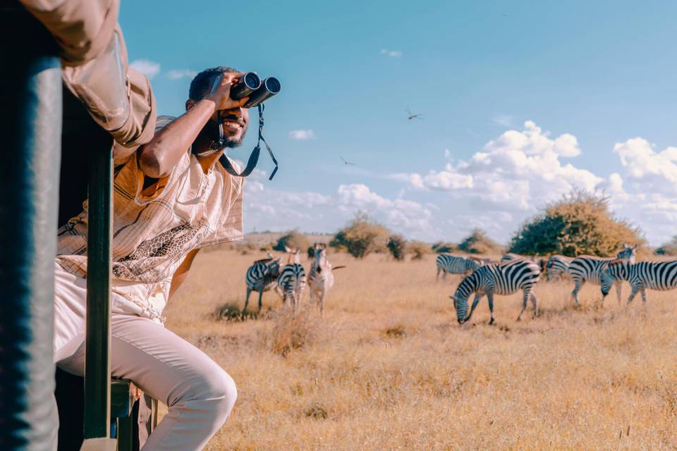 Safari