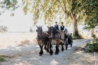 Les Attelages du Vidourle