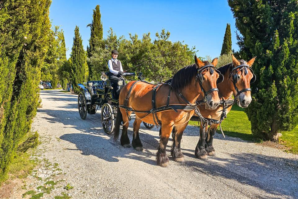 Mariage deux chevaux