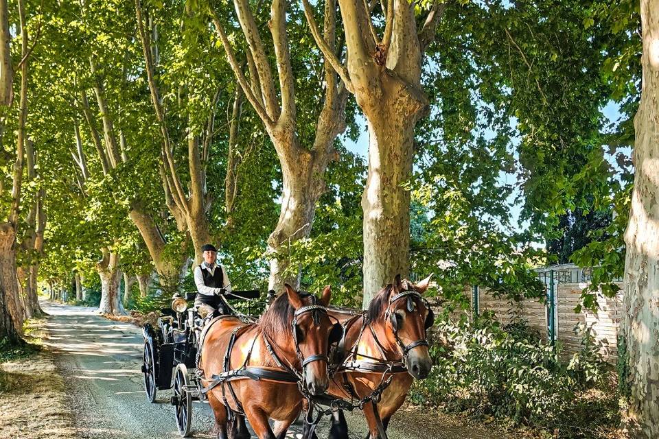 Mariage au domaine de Florival