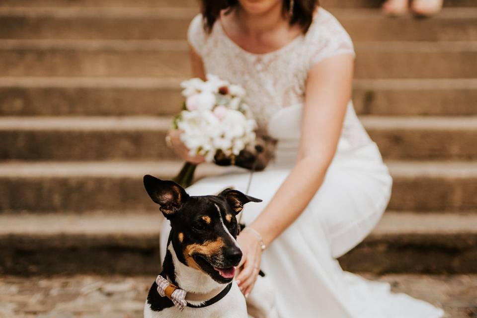 Mariée et Chien