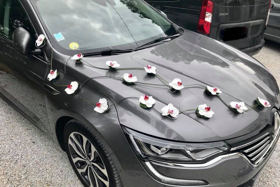 Voiture en Orchidées