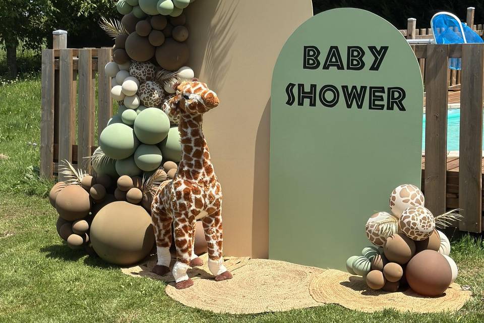 Photocall baby shower