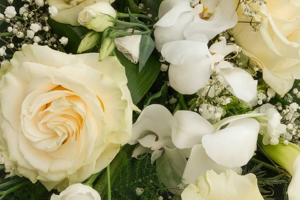 Fleurs