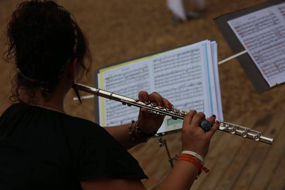 Une musicienne baroque