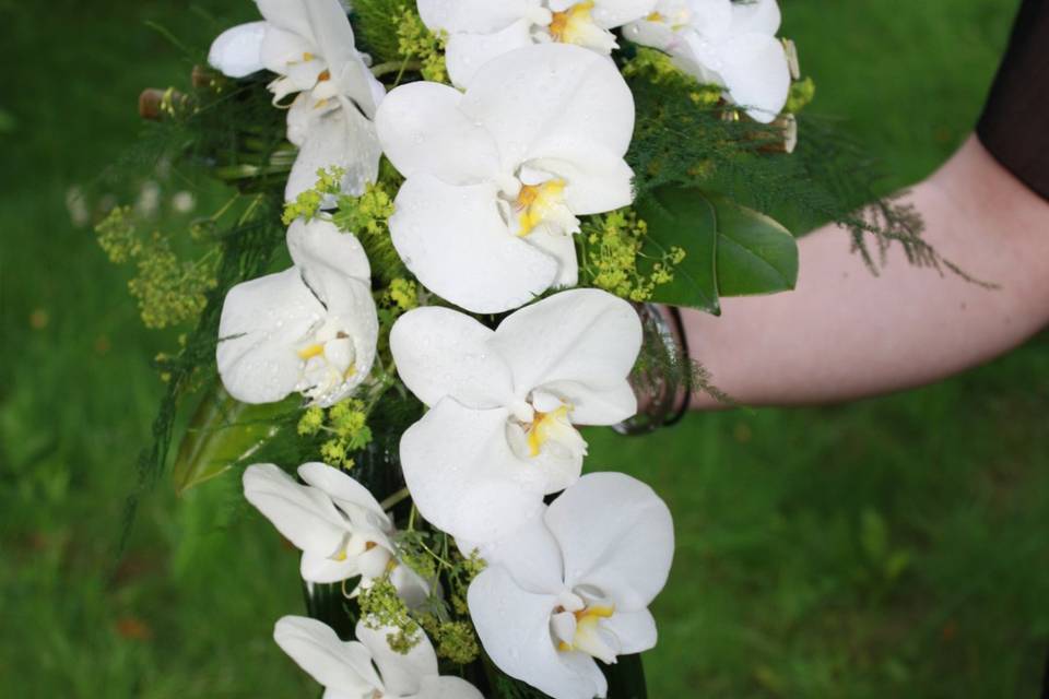 Bouquet de mariée chute d'orch