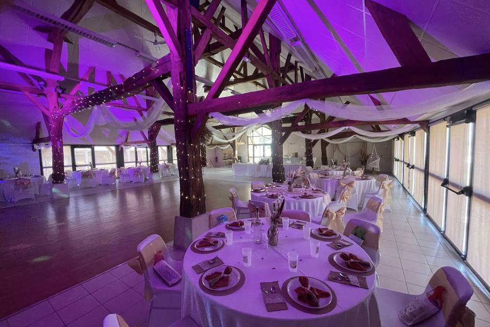 Animation dansante mariage