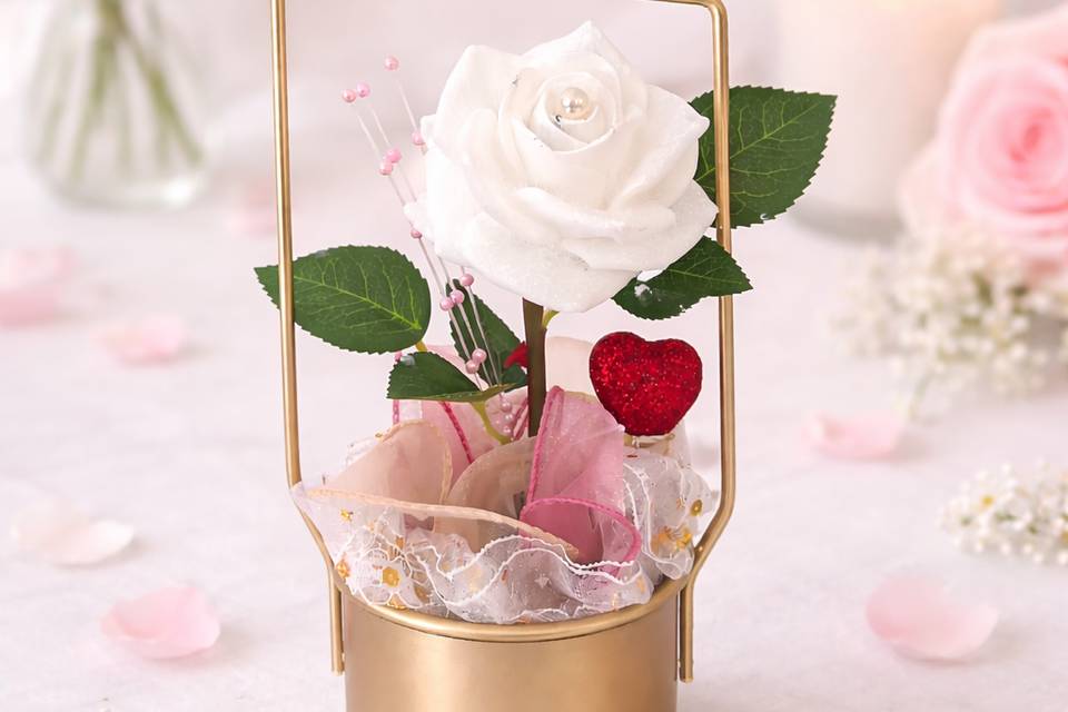 Rose blanche