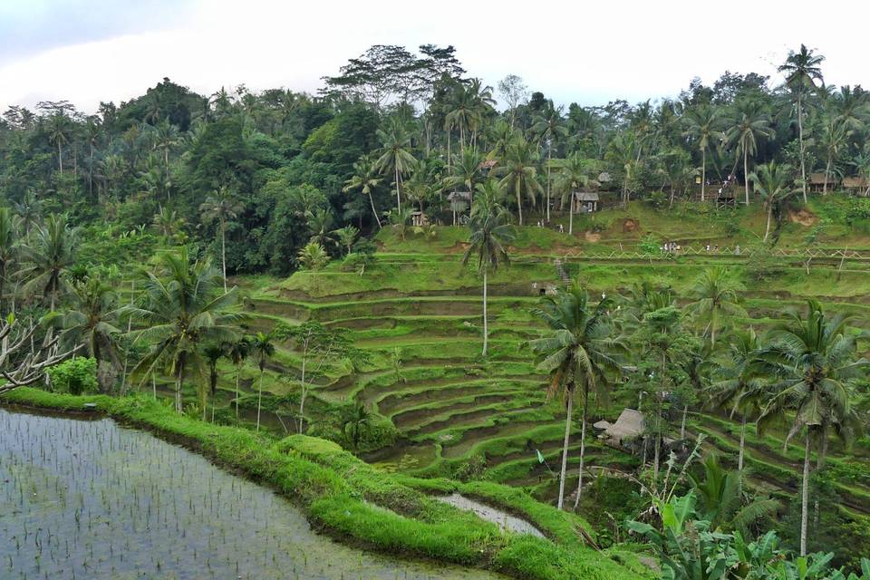 Seraya island, Indonésie