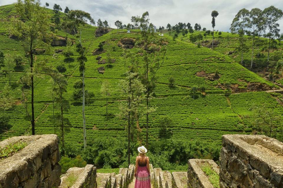 Nuwara Eliya, Sri Lanka