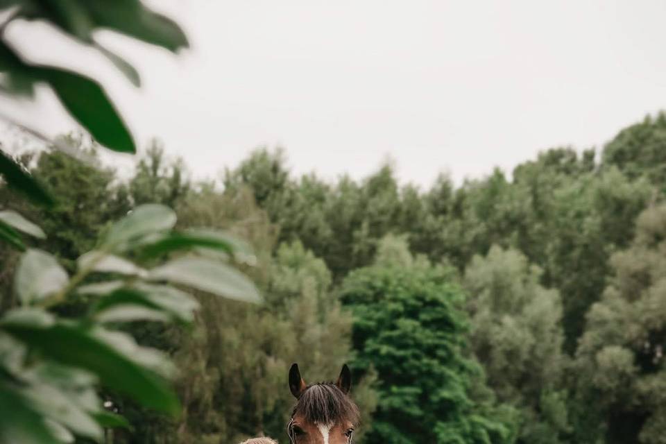 Emilie Van-Assche Photographie
