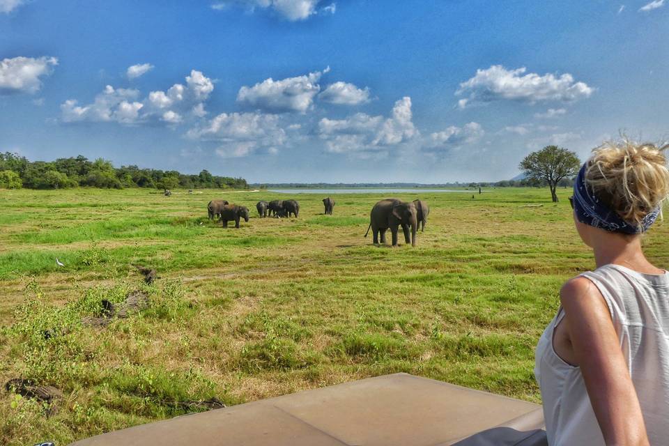 Kandalama, Sri Lanka