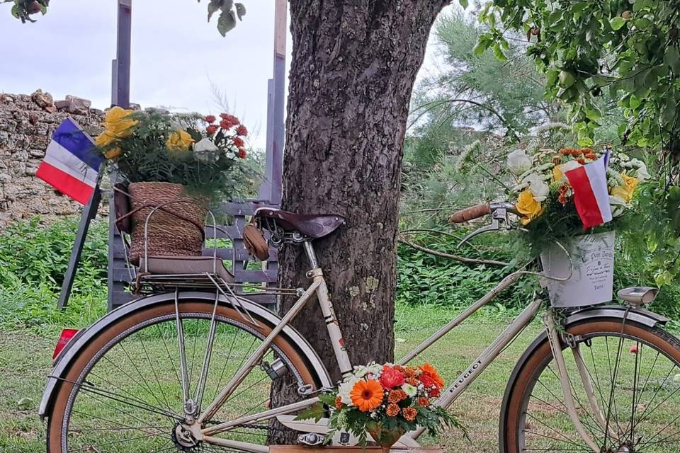 Velo