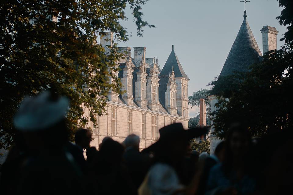 Vue sur le château