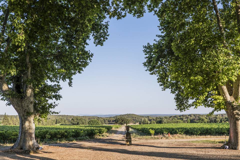 Château Libran