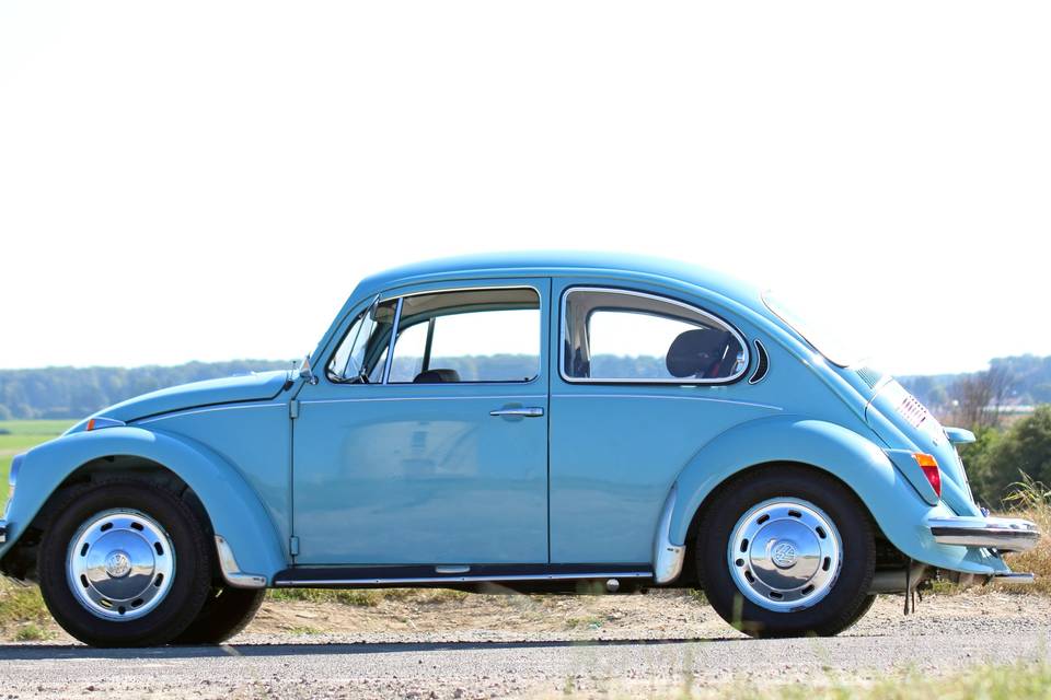 Coccinelle de 1971
