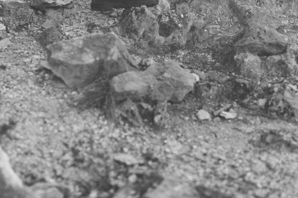 Séance engagement nature