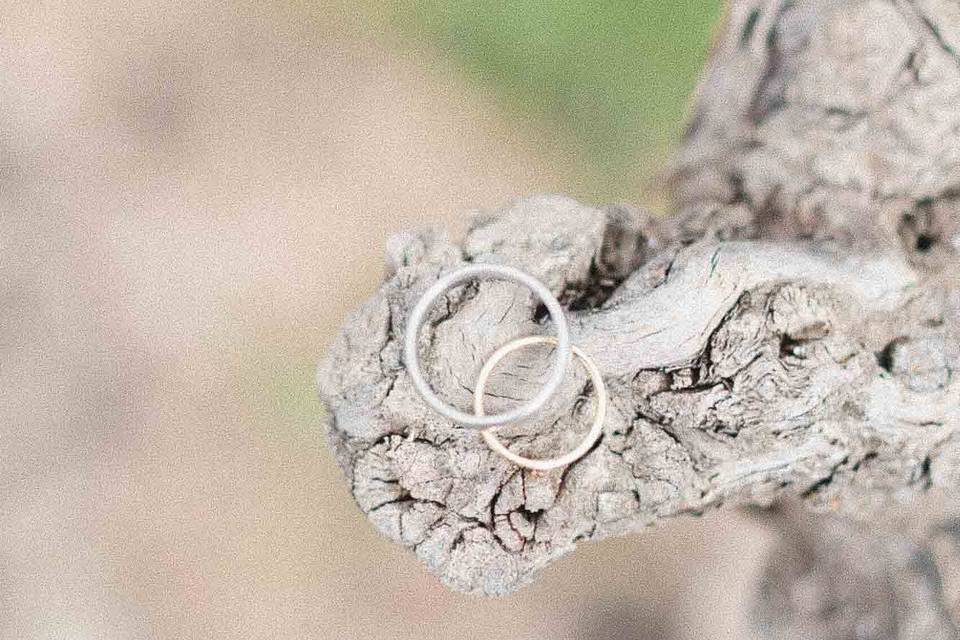 Alliance vignes nature