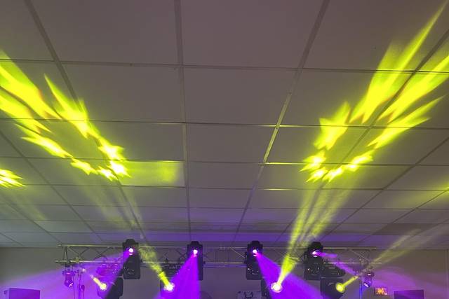 Professionnels de la fête