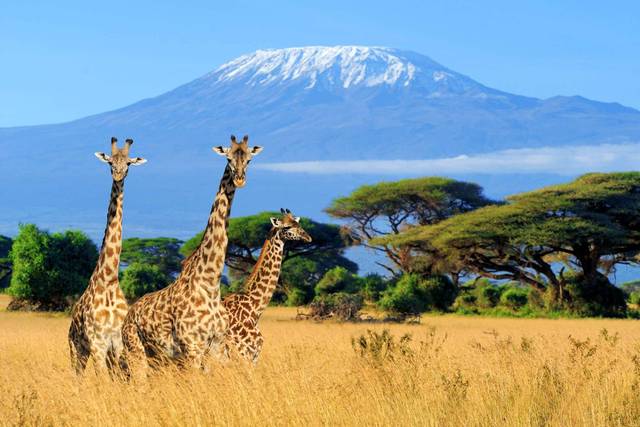 Tanzanie