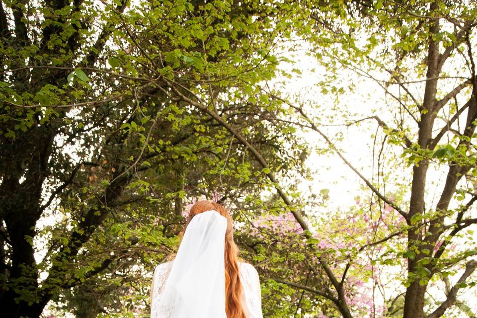 Reportage mariage 2026 photo