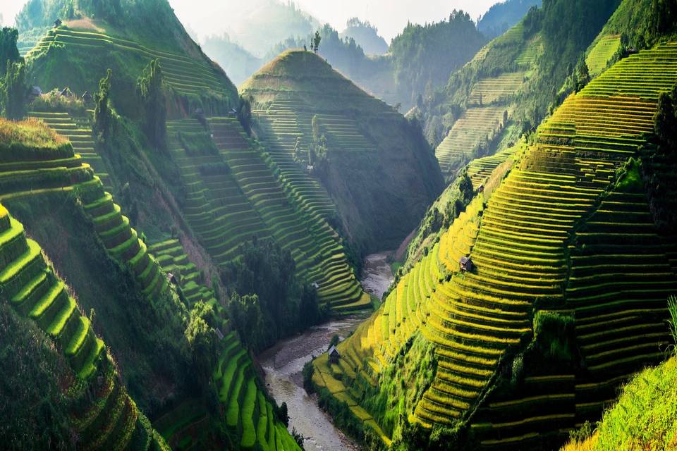 Vietnam