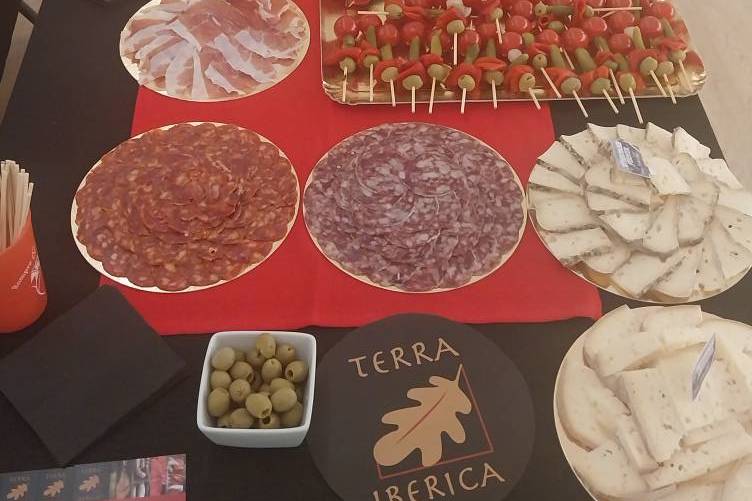 Terra Iberica