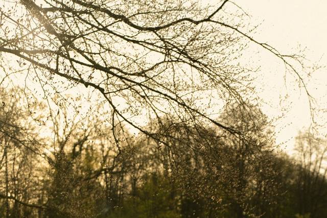 Lumay Photographie