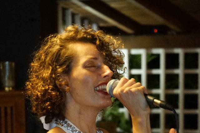 Soul Singer