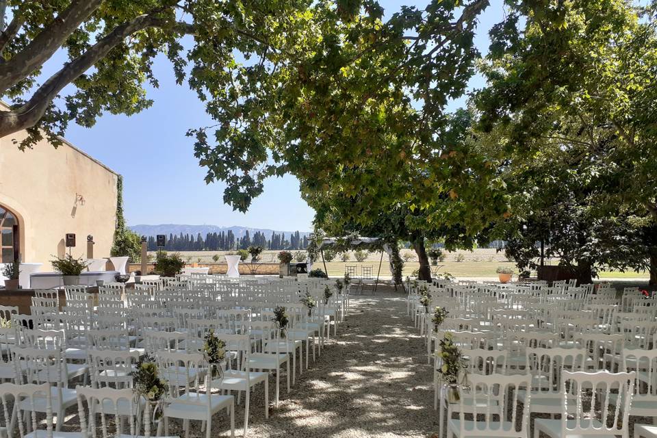 Cérémonie sous les platanes