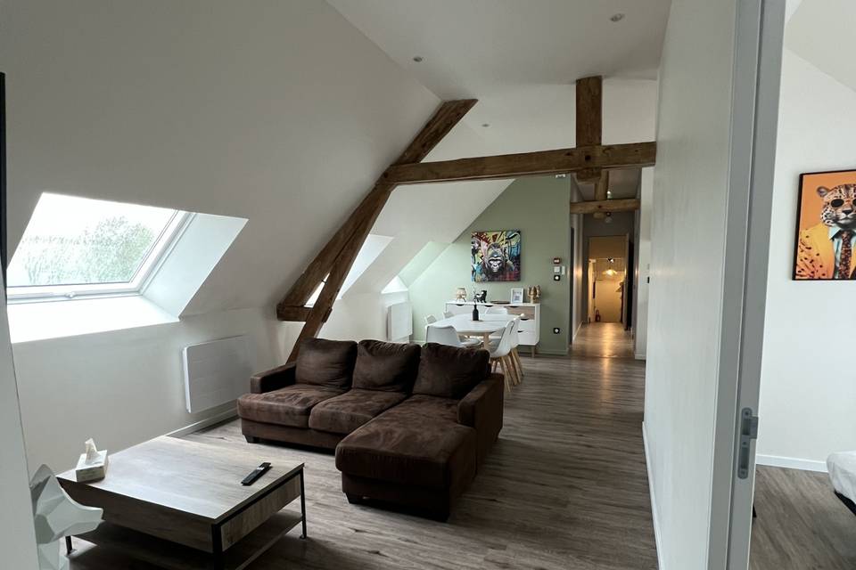 Salon appart 3