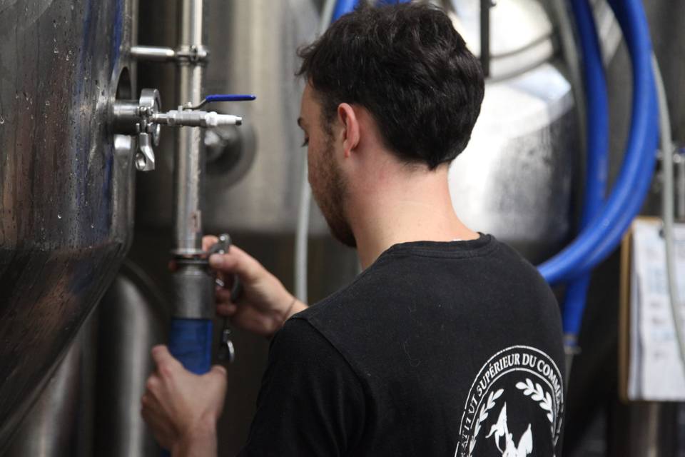Brassage