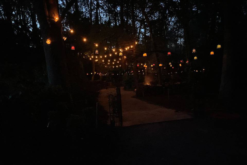 Forêt enchantée de nuit