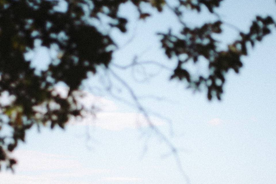 Chevaux