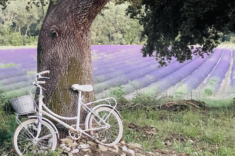 Domaine du Bijoutier