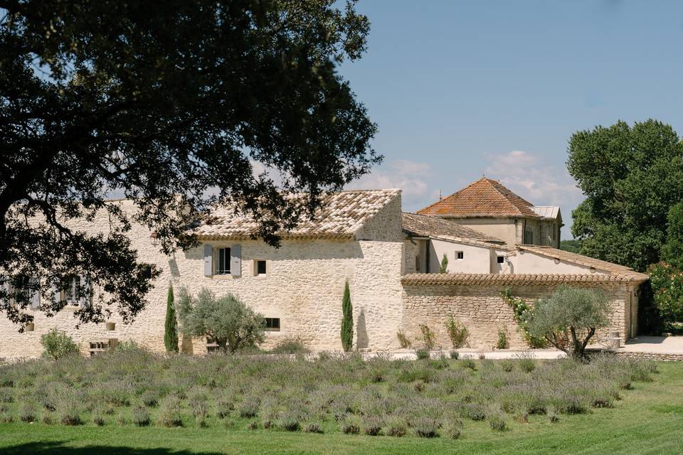 Lavande gites