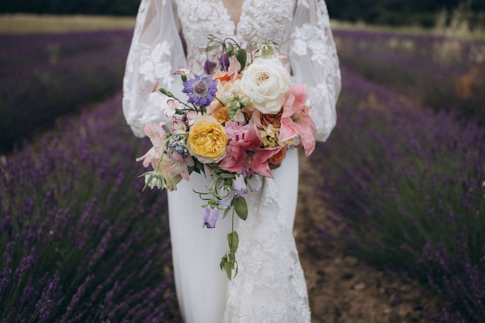 Lavandes bouquet