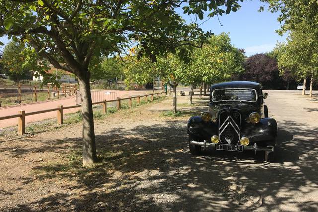 Vue face - traction avant