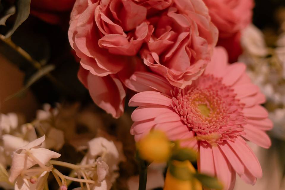 Fleurs