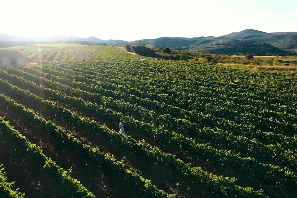 Les mariés dans les vignes