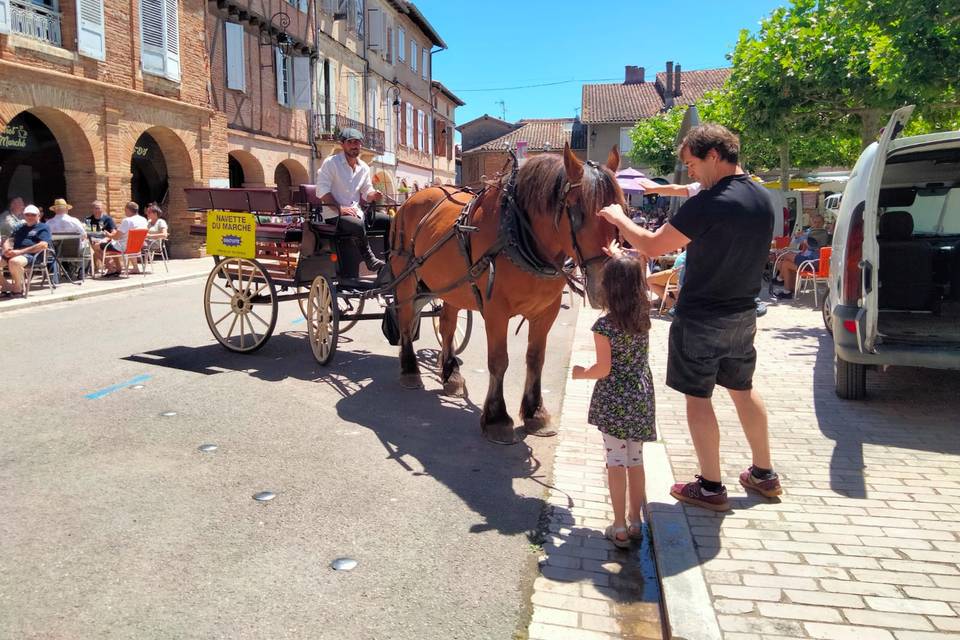 Montans Événementiels Activités Équestres