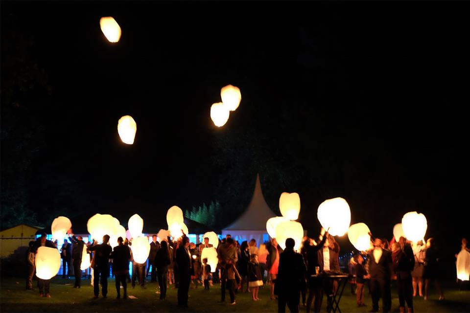 Orangerie de nuit