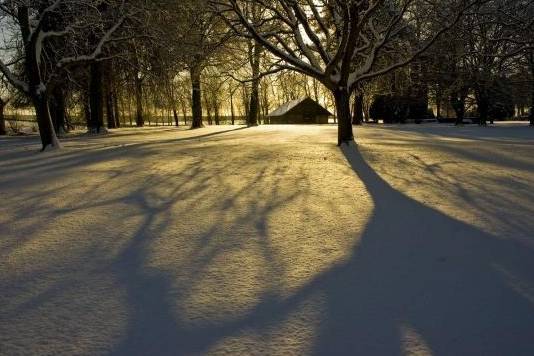 Pelouse recouverte d'un draps blanc