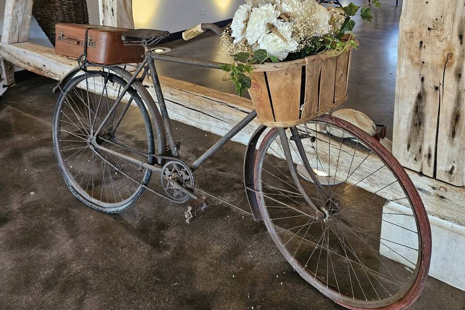 Vélo urne