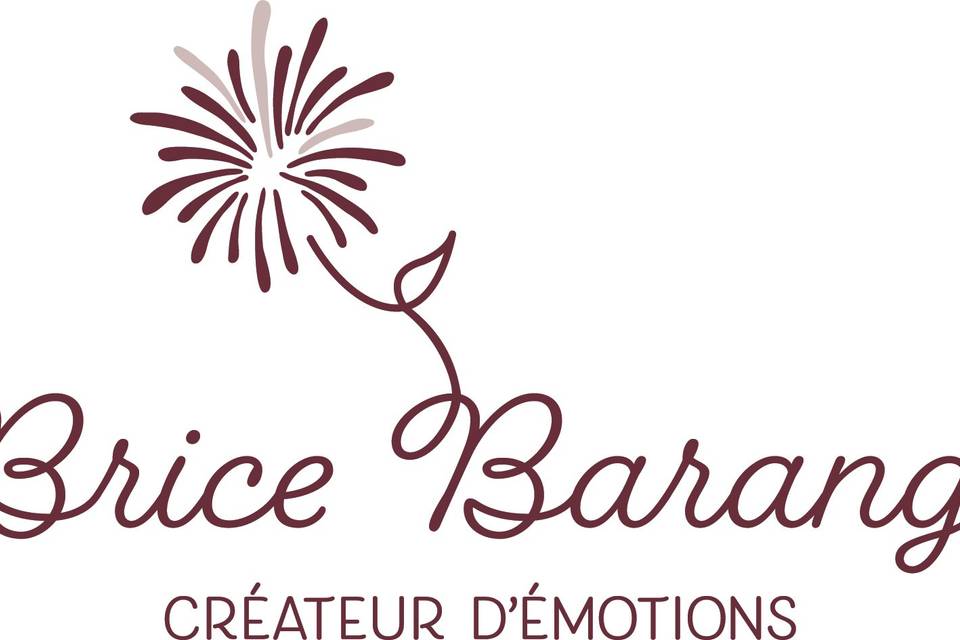 Brice Barange Events