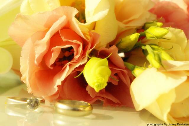 Roses quand tu nous tiens.