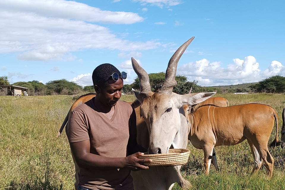 Tanzanie